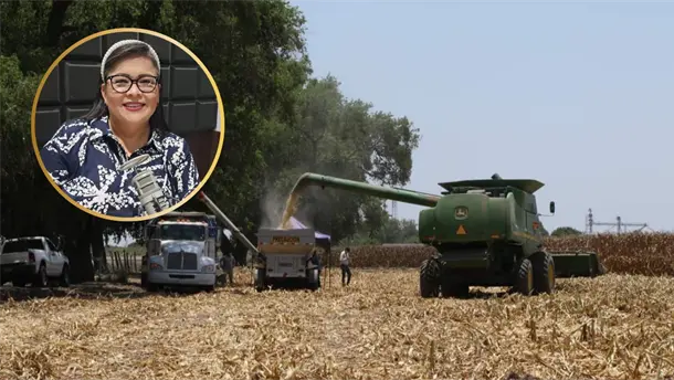 Nota Relacionada de Política