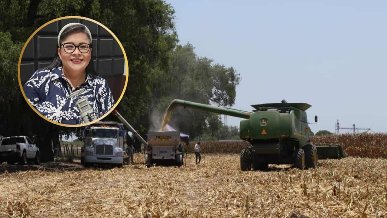 Diputada Ana Ayala impulsa 14 MMDP para el campo y la seguridad de Sinaloa