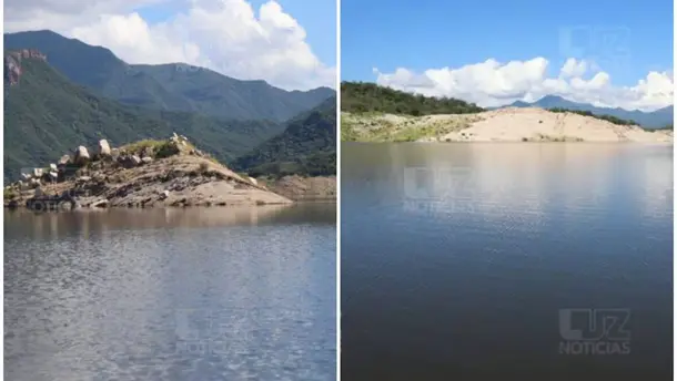 Nota Relacionada de Agro