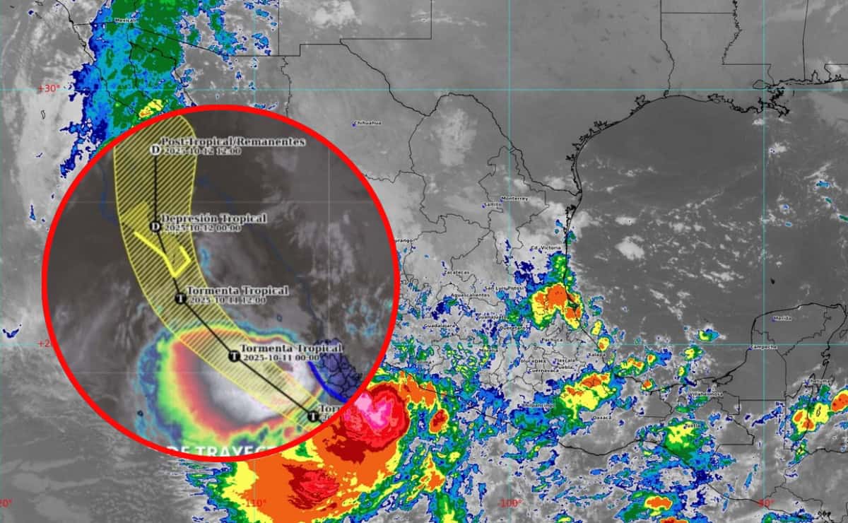 Imagen Placeholder Imagen Placeholder