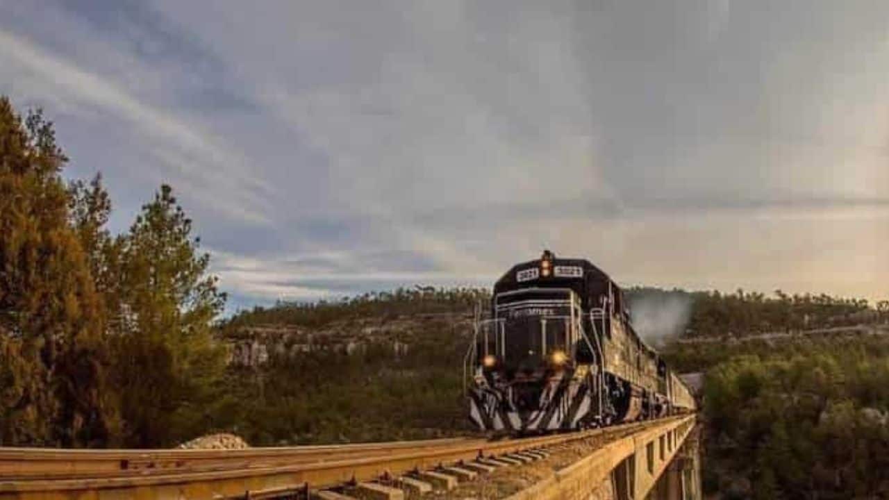 El tren "El Sinaloense" recorrerá 440 kilómetros desde Mazatlán hasta Los Mochis. FOTO: Luz Noticias.