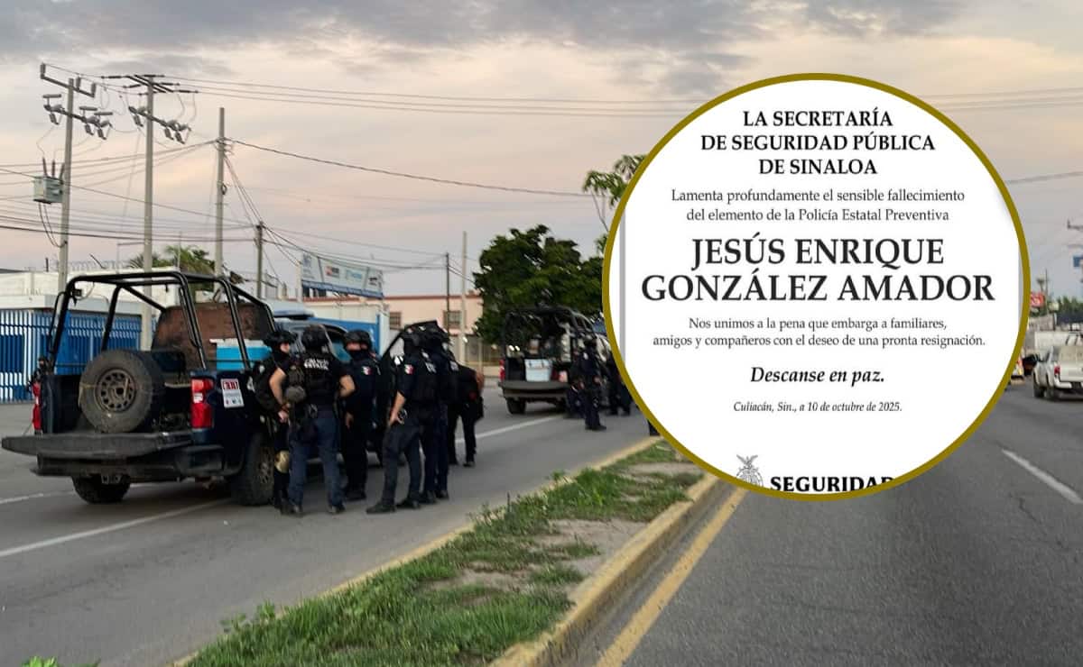 Nota Relacionada de Sinaloa