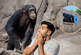 Zoológico de Culiacán: La aterradora leyenda de Don Panchito y el chimpancé
