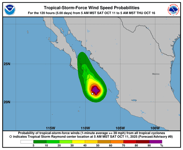 Imagen Placeholder Imagen Placeholder