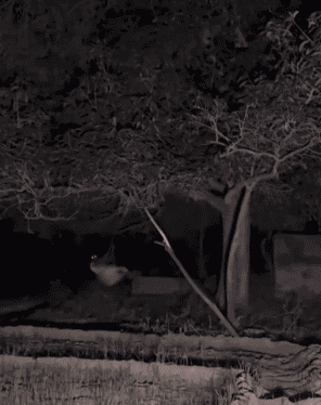 Imagen Placeholder Imagen Placeholder