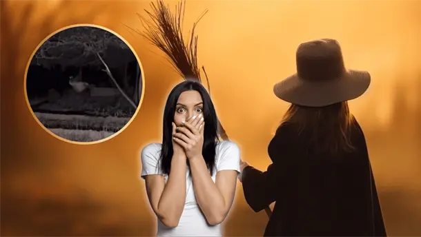 Nota Relacionada de México