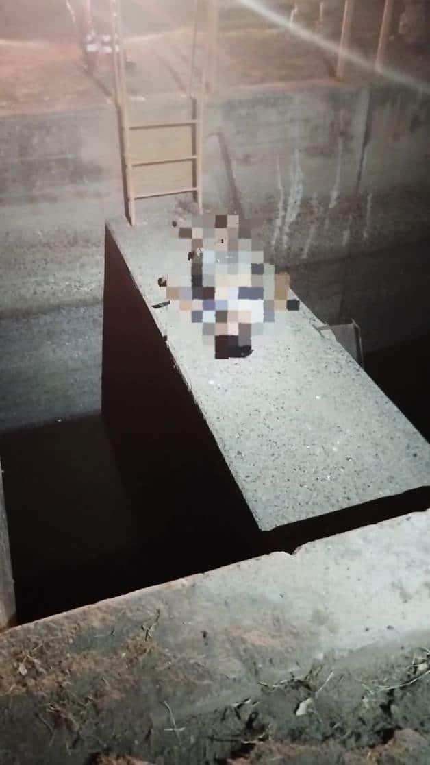 Imagen Placeholder Imagen Placeholder