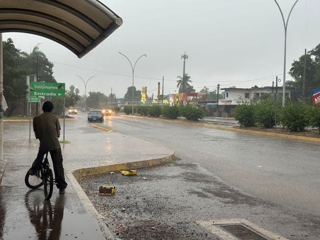 Imagen Placeholder Imagen Placeholder