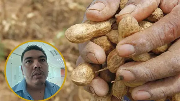 Nota Relacionada de Agro