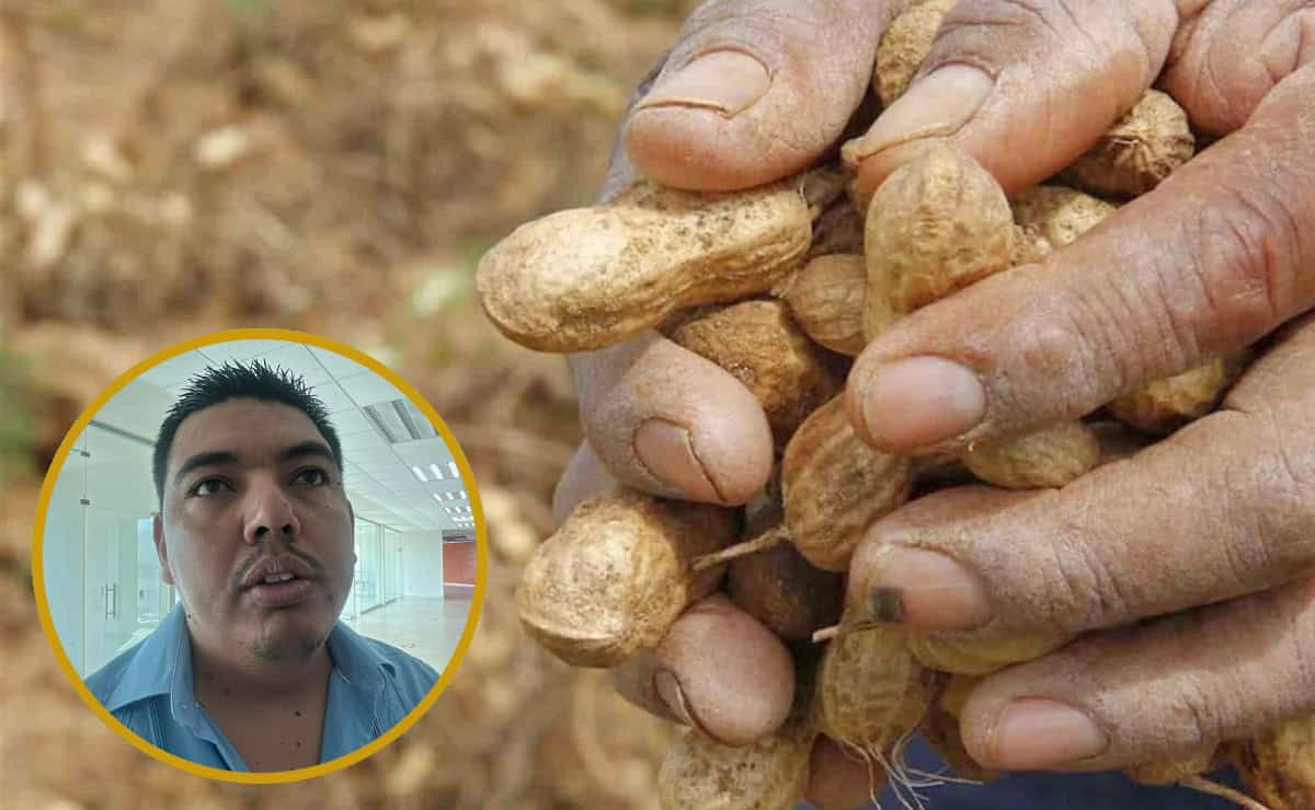 Nota Relacionada de Agro