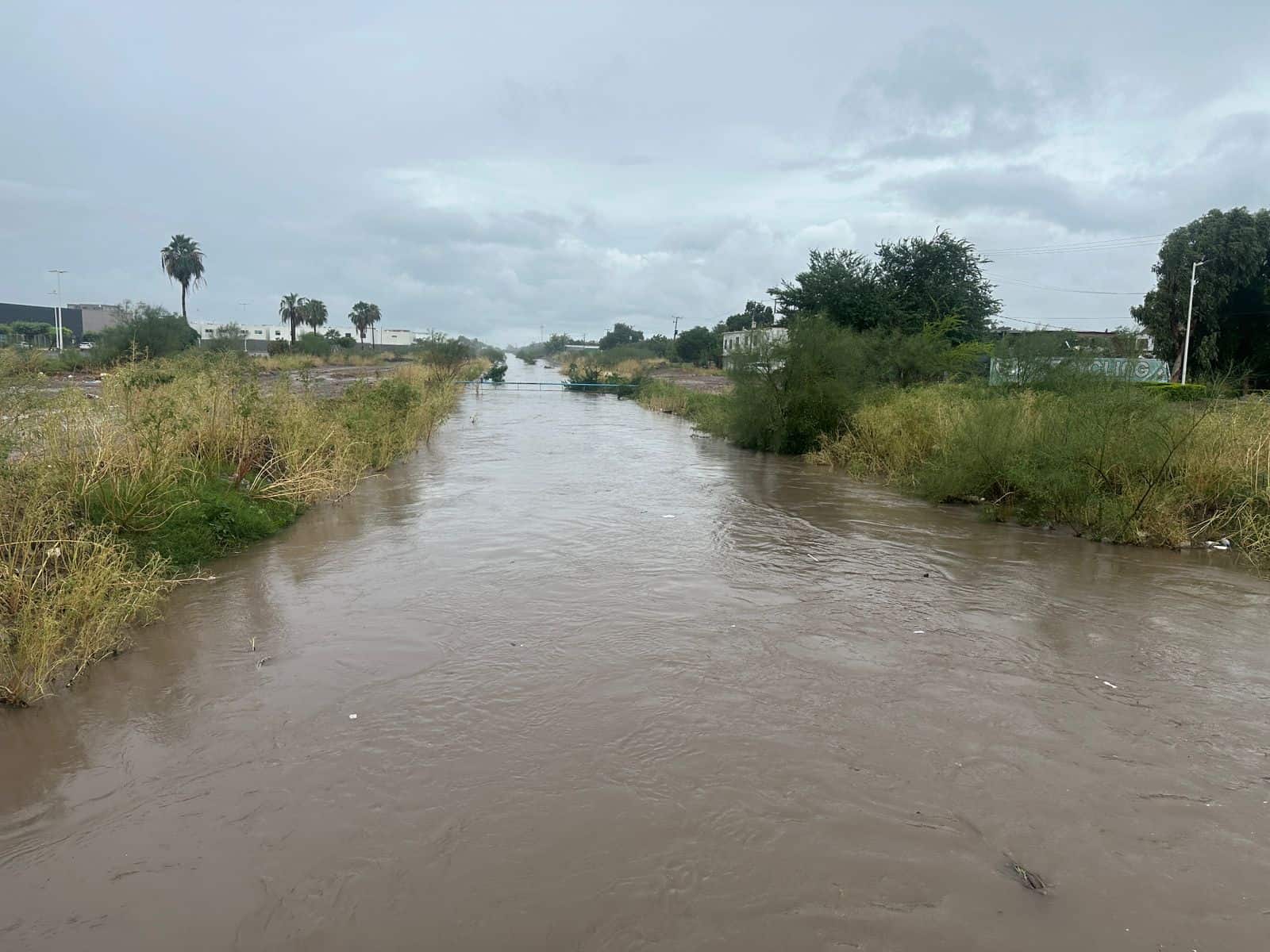 Nota Relacionada de Sinaloa