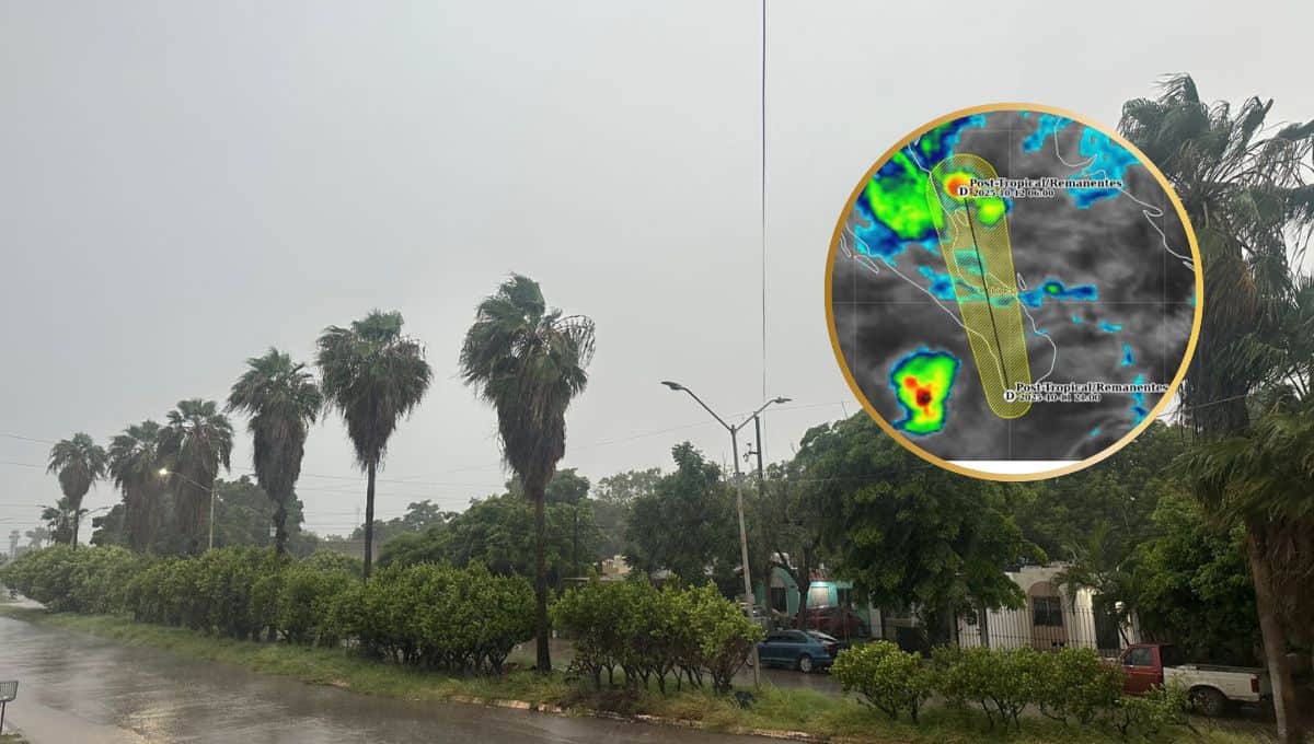 Nota Relacionada de Sinaloa