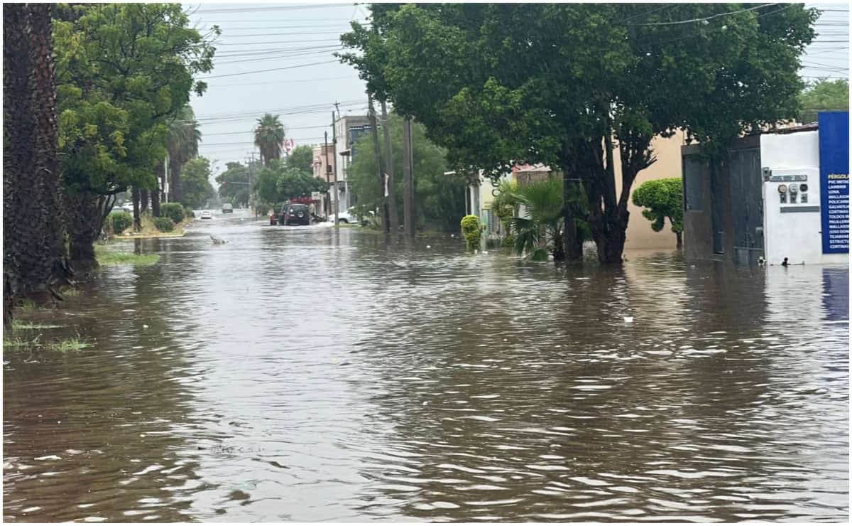 Nota Relacionada de Sinaloa