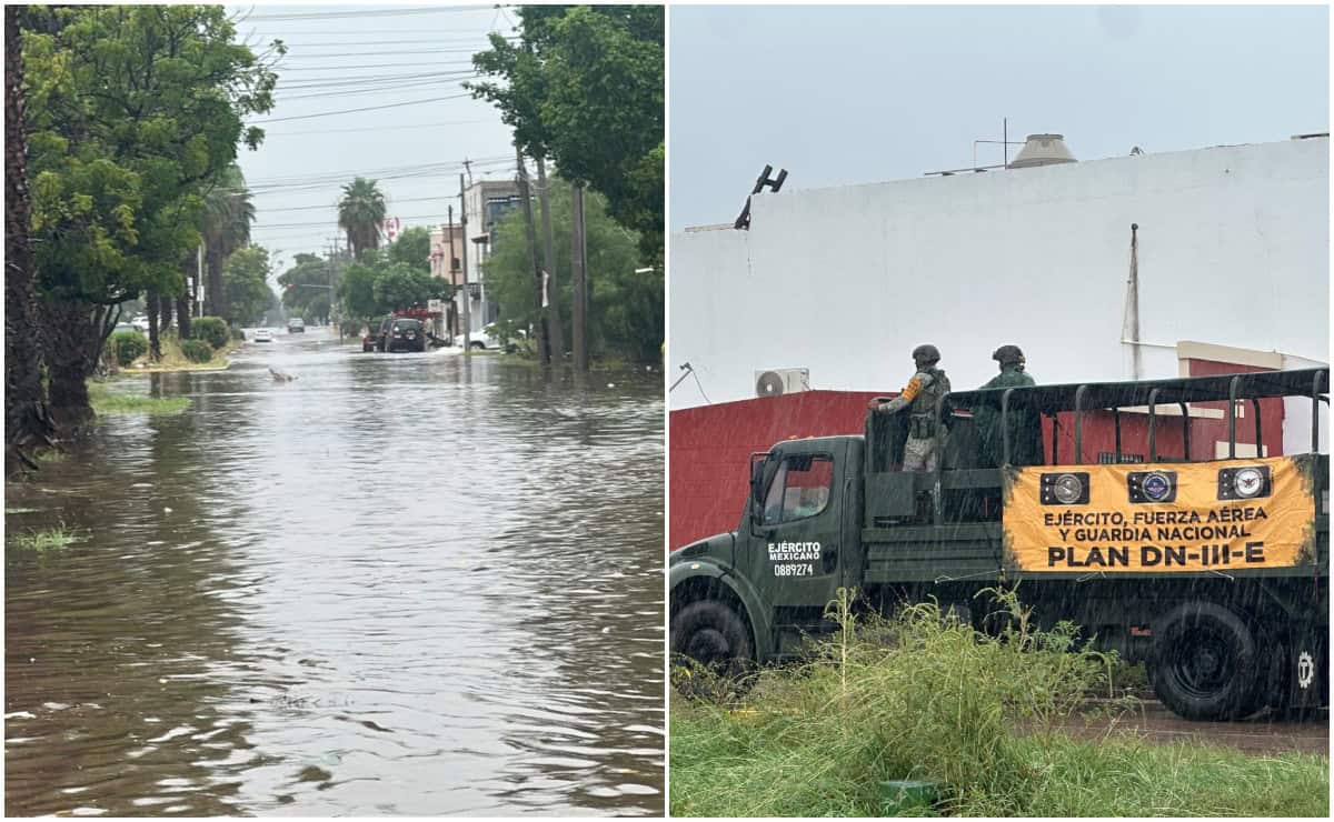 Nota Relacionada de Sinaloa