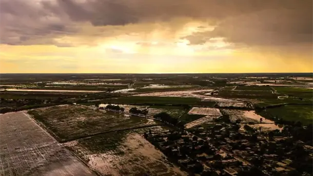 Nota Relacionada de Agro