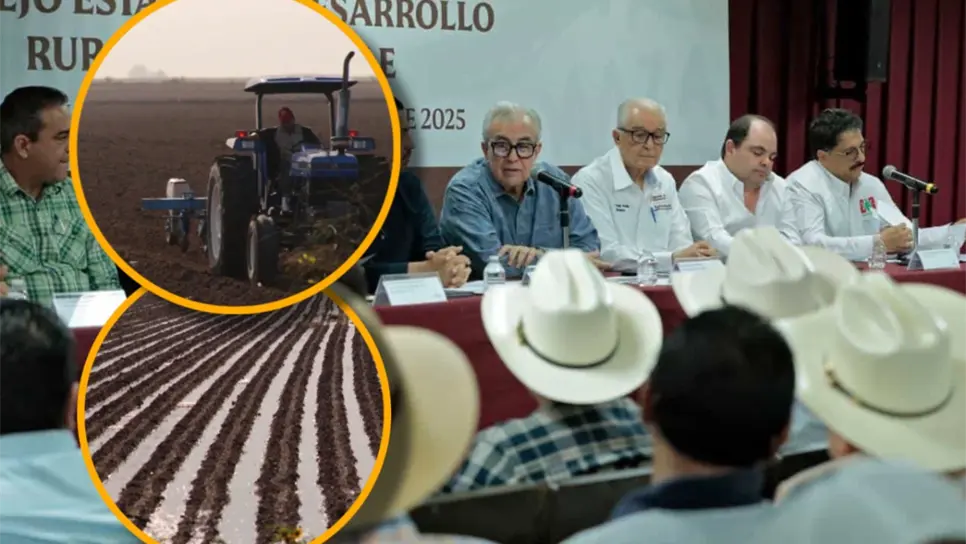 Ciclo agrícola 2025-2026: ¿qué distritos concentran la mayor cantidad de hectáreas disponibles para cultivar?