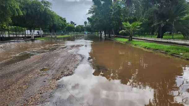 Nota Relacionada de Sinaloa