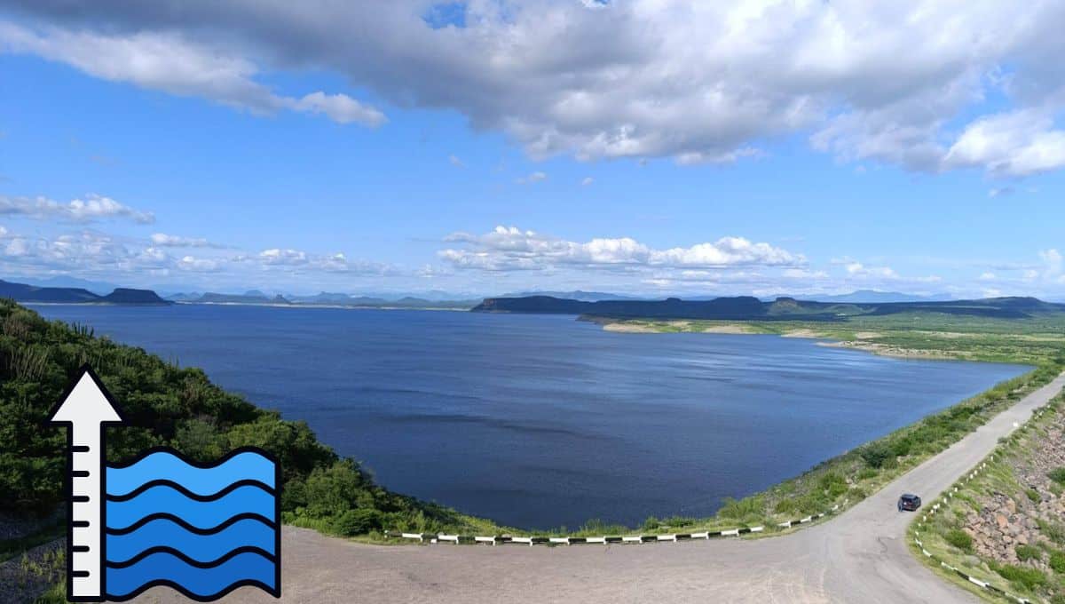 Nota Relacionada de Agro