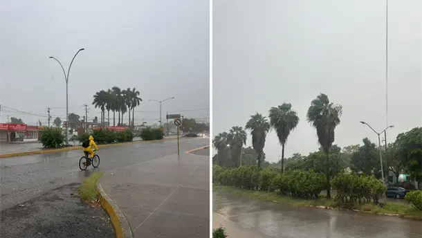 Nota Relacionada de Sinaloa