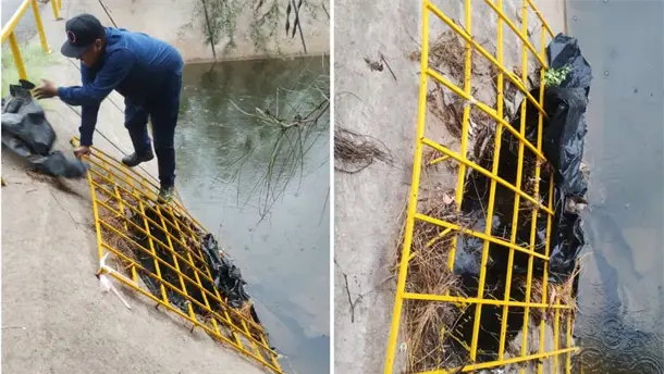 Nota Relacionada de Sinaloa