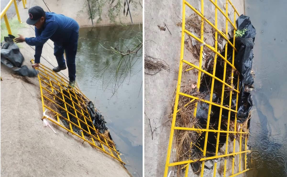 Nota Relacionada de Sinaloa