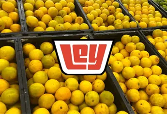 Día de la Fruta y la Verdura en Ley: ofertas del 14 de octubre 2025 en Sinaloa