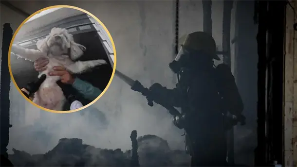 Nota Relacionada de Policiaca