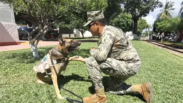 Nota Relacionada de Sinaloa