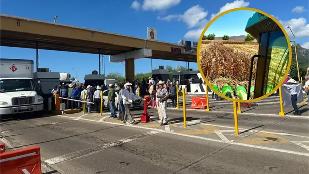Nota Relacionada de Agro