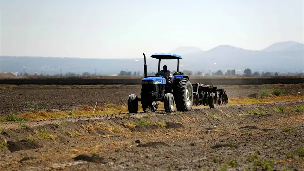 Nota Relacionada de Agro