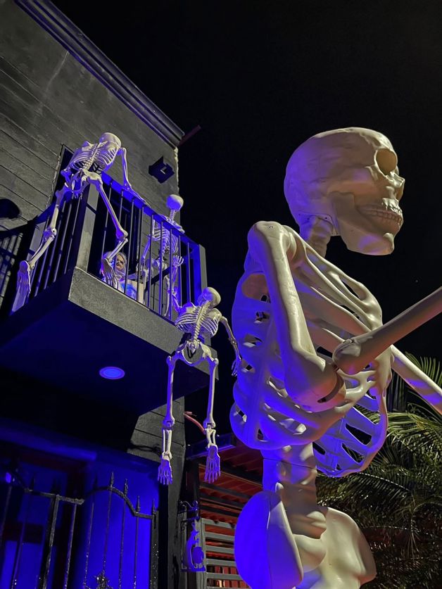 Imagen Placeholder Imagen Placeholder