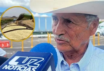 Trigueros de Sinaloa sin pago a seis meses de entregar sus cosechas