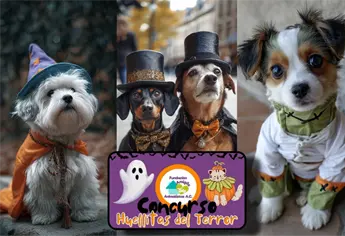 Desfile de disfraces para mascotas en Culiacán ¿cuándo y a qué hora? Todo lo que debes saber 