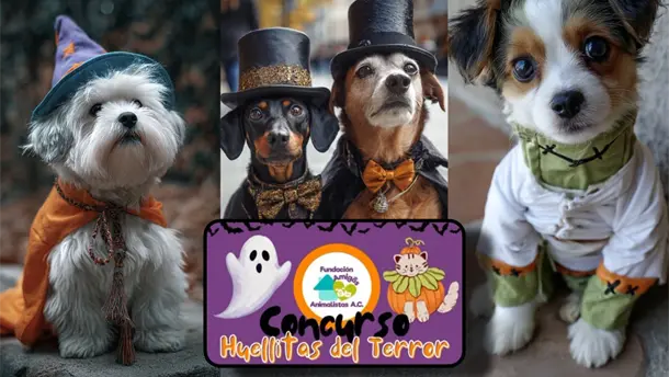 Nota Relacionada de Sinaloa