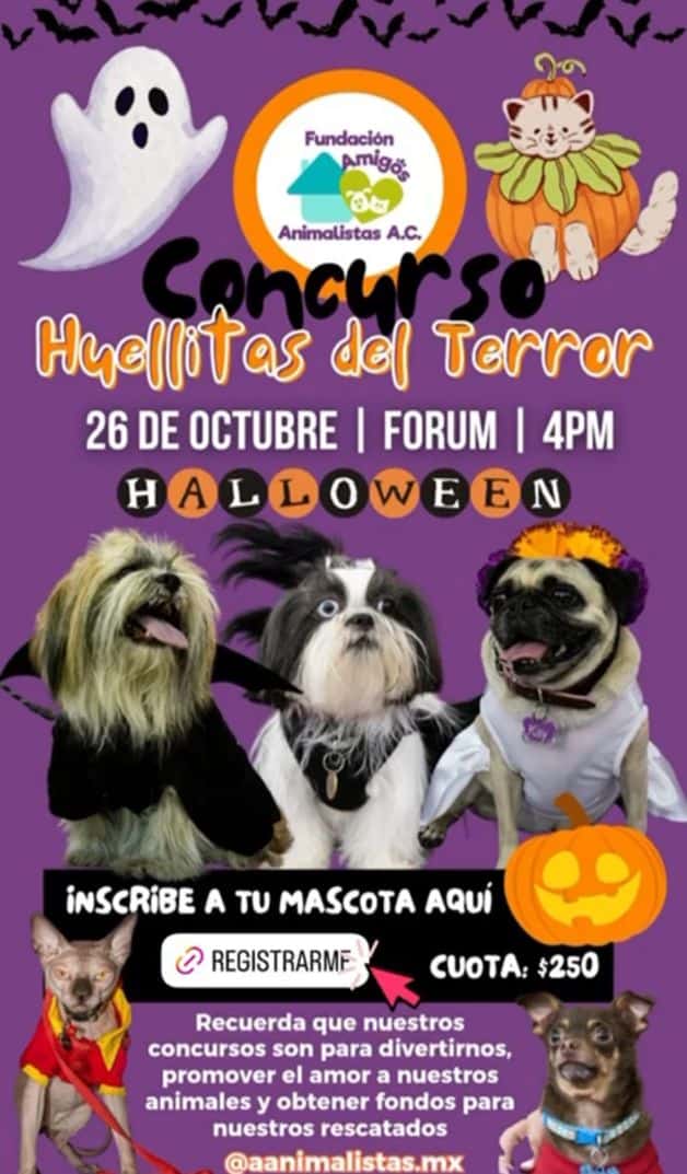 Imagen Placeholder Imagen Placeholder