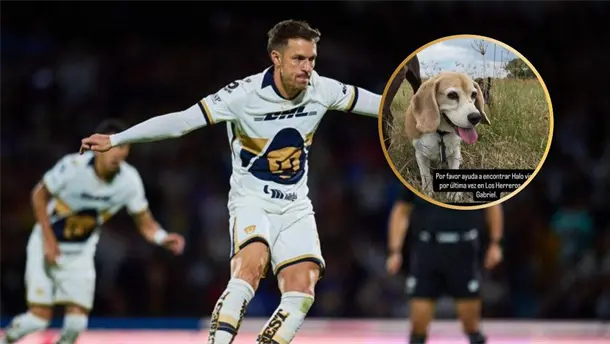 Nota Relacionada de Deportes