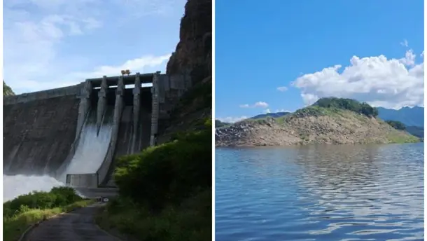 Nota Relacionada de Agro