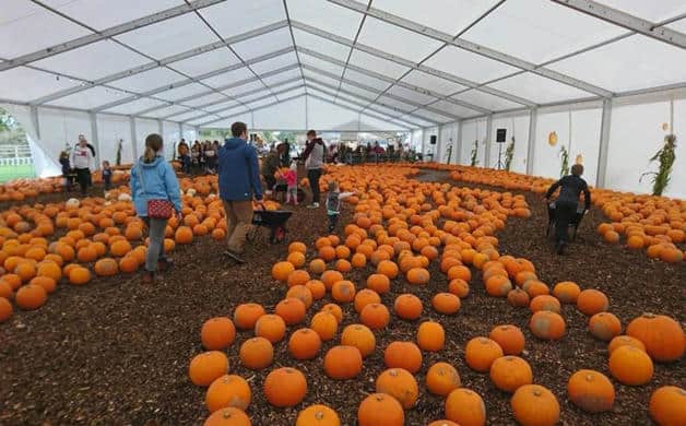 Imagen Placeholder Imagen Placeholder