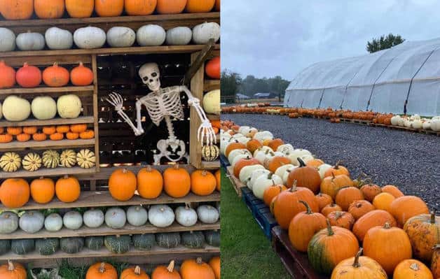 Imagen Placeholder Imagen Placeholder