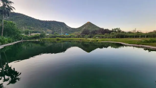 Nota Relacionada de Sinaloa