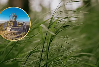 Clima en Los Mochis este viernes, 17 de octubre: Máxima de 33°C y vientos moderados