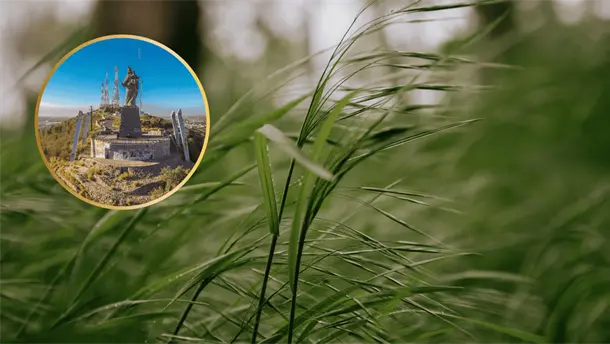 Nota Relacionada de Sinaloa