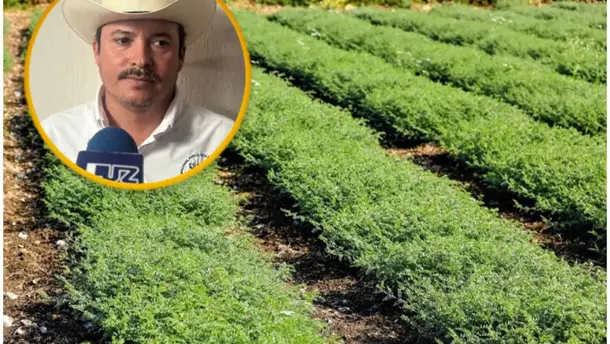 Nota Relacionada de Agro