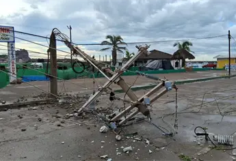 Lluvias provocan cierres viales y caída de árboles en distintos puntos de Mazatlán