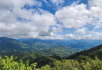 Choix presume su joya escondida: una zona boscosa con pinos y vistas que recuerdan a Mazamitla y Surutato