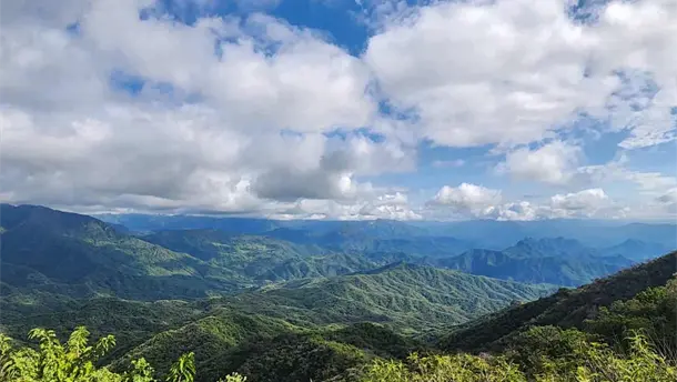 Nota Relacionada de Sinaloa
