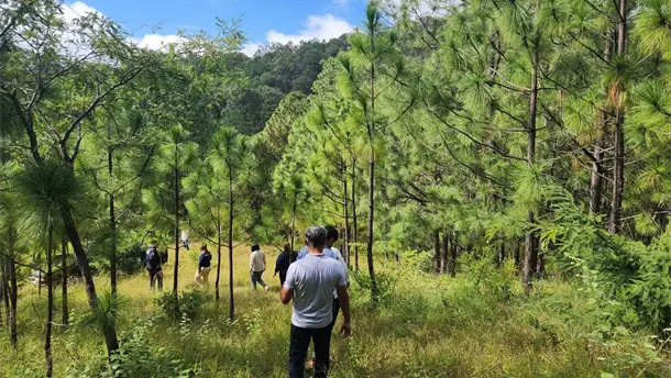 Nota Relacionada de Sinaloa