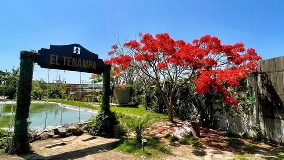 El Tenampa: el rincón campestre donde se disfruta el sazón de la abuela en Mazatlán