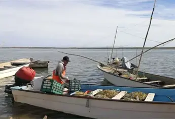 Este jueves 30 de octubre inicia el pago de Bienpesca para más de 32 mil pescadores sinaloenses