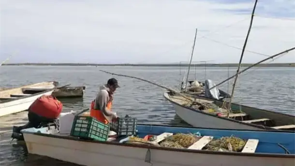 Nota Relacionada de Agro